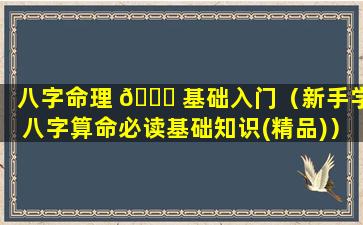 八字命理 🐘 基础入门（新手学八字算命必读基础知识(精品)）